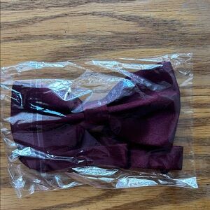 Sky Burgundy Bow tie